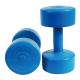 Bodybuilding Equipment Color Round Head  Cement Vinyl Dumbbells For Weight Lifting