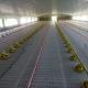 Plastic Poultry Flooring Solution for Optimal Performance in Poultry Farming