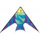 Variability of the diamond stunt kite  fish sharp style with beach