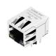 HFJ11-S101 RJ45 Modular Jack 10 /100Base-T LPJ0196AGNL Intelligent Home