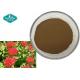 Rhodiola Rosea Extract Salidroside 1.0 - 3.0% Rosavin 1.0 - 3.0%