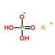 Potassium Dihydrogen Phosphate 	 CAS 7778-77-0 DML  Pharmaceutical grade、