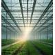 Vegetable Cultivation Greenhouse with Snow Vibrator Return refunds within 30 Days