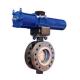 SS ANSI PN16 DN300 Cryogenic Electric Control Valve