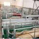 1500 Sows Pig Farm Project Equipment Maternity Cage For Sow