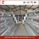 96 Birds H Type Automatic Chicken Chick Cage / A Type Broiler Chicken Cage With Sliding Door Rose