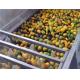 Electric Fresh Mango Juice Processing Machine 5T/H Stone Removal