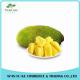 High Quality Natural Jackfruit Extract Powder