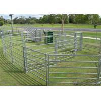Australia Standard Corral Fencing Panels 1.8x2.1m