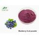 Health Product Superfood Supplement Powder Blueberry Fruit Juice Extract Powder