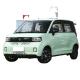 Affordable Mini Car Low Speed EV Vehicle for Your Business Needs