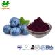 ISO Natural Pigment Powder 25% Anthocyanidins 84082-34-8 Europen Bilberry Extract Powder