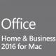 2gb Office 2016 License Key Home And Business Mac  Plus Product 1 Pc