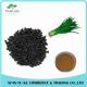 Leek Seeds Extract Powder / Chinese Chive seed P.E.