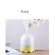 Mini Aroma Diffuser Humidifier Ultrasonic Air Humidifier PP ABS Body Material