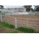 3 rails Galvanized Metal Livestock Fence Panels
