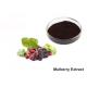 Natural Mulberry Extract Powder