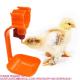Automatic Chicken Feeders Drinkers Nipple Drink Line Hanging Cups Poultry Drinking System