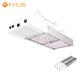 T828 800W 0-10V Dimmable LED Grow Light 5 Years Warranty For Agrotech