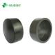 TUV CE Certified HDPE Socket Butt-Fusion End Cap for Water Supply Customization Option
