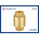 DIN259 Thread 2 Female X Female Brass Spring Check Valves