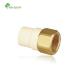 Thread Connection Female Adapter ASTM 2846 Standard CPVC Fittings with Thread and Brass