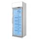 Convenience Store Commercial Upright Display Merchandiser Freezer For Ice Cream
