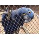 Stainless Steel Parrots Enclosure Mesh