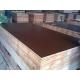 15mm black browm red film faced shuttering plywood construction plywood