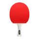 Upgrade Your Table Tennis Experience With 3 Star Rackets Other Paddle Included