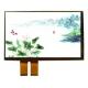 IPS LCD Touch Screen Panel 10.1 Inch 1200*1920 With CTP MIPI LVDS Interface