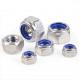 Din 985 Hex Head Fasteners M3-M20 Hex Head Nylon Lock Blue White Zinc Carbon Steel Industrial