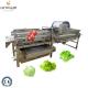 Stainless Steel 304 Herb Washing Cutting Grinding Machine for Herbs