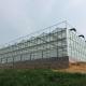 Venlo Roof Glass Green House For Agriculture 10.8m Lettuce Leaf Vegetable Salad Greenhouse