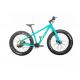 26 Carbon Snow Fat Bike Disc Brake Full Carbon Fiber 12 Speed Beach Cycle