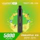 Pineapple Ice 62g Disposable Vape Pen With 1800mAh Battery Capacity