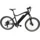 26 Inch Wheel Integrated Battery Electric Bike With Bafang 350W Hub Motor THP-YT04