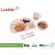 Tasteless Food Safe Bamboo Baby Dinner Set Big Size With Delicate Appearance