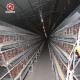 Chicken Farm Used Battery Cage Poultry House A Type 3 Tiers