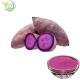 Purple Natural Pigment Powder Anthocyanidin 1%~25% Purple Sweet Potato Powder