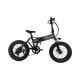 Battery Powered 20 Inch Fat Tire Electric Bike