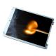 10.4 inch 640*480 LQ104V1DG5A 31pins LCD Screen for Industrial