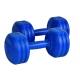Plastic Free Weight OEM Cement Filled Dumbbells Home Gym Fitness Weight Lifting Equipment