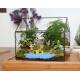 Cuboid Plant Decorative Glass Craft Micro Landscape Smooth Surface For Live Plants