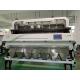 448 Channels Vegetable Sorting Machine For Unpeeled Garlic Processing Line