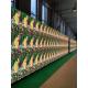 160x320mm Outdoor Programmable Led Signs P6RGB  Easy installation