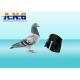 134.2Khz Wireless ABS Rfid Ring Tag 3G Pigeon Foot Ring With 100000 Times