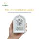 Bluetooth Mini Portable Quran Speaker Lamp