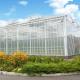 Eco-Friendly Multi Span Glass Greenhouse Customization and Estimated Delivery Time