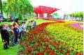 Shantou is to hold the 24th Mass Chrysanthemum Show